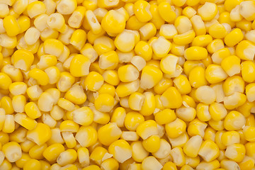 Image showing Corn kernel