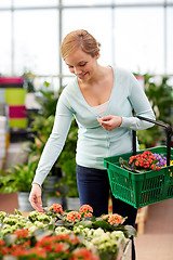 Image showing happy woman with basket choosing flowers in shop