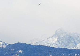 Image showing View of Italian Alps in Aosta Valley, Italy