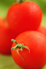 Image showing Tomatoes