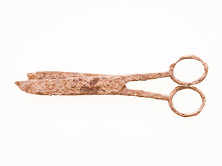 Image showing  Rusted scissors vintage