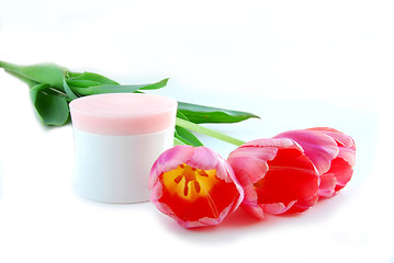 Image showing Tulips and cream