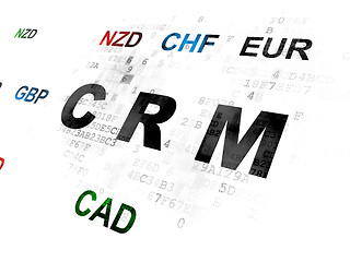 Image showing Finance concept: CRM on Digital background