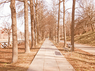 Image showing Path among trees vintage