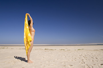 Image showing Feeling the wind