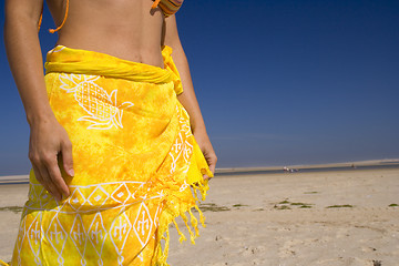 Image showing Sexy skirt at the beach