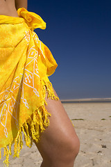 Image showing Sexy skirt at the beach