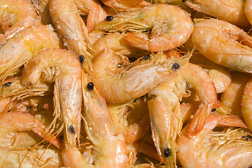 Image showing shrimp pattern