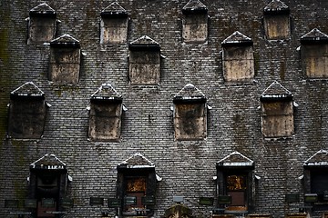 Image showing Many windows on the roof