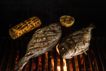 Image showing Grilled dorado fish