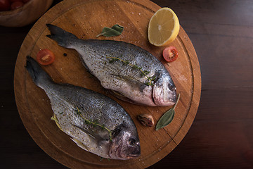 Image showing Fresh uncooked dorado 