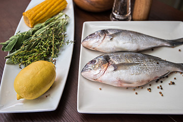 Image showing Fresh uncooked dorado 