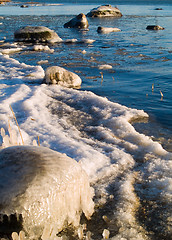 Image showing Spring Sea