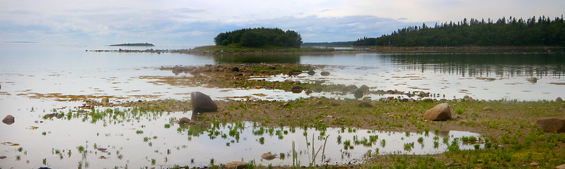 Image showing panorama of coast of white sea