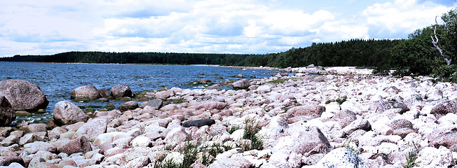 Image showing Baltic Islands in height of summer: lush meadows and traveled blocks