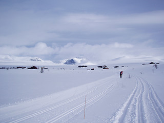 Image showing Winter ladscape