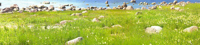 Image showing Baltic Islands in height of summer: lush meadows and traveled blocks