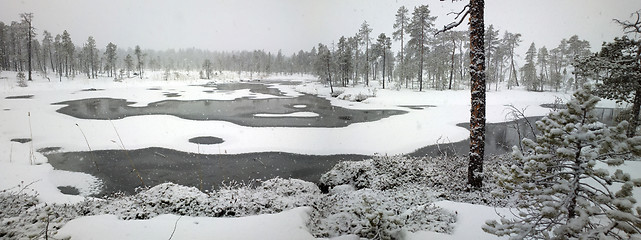 Image showing First snow. Dense big snow falls over forest and river