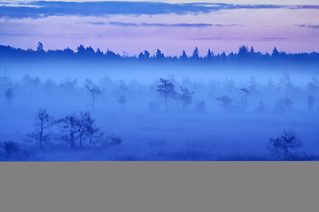 Image showing haze morning in the  meadow