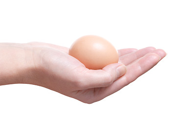 Image showing Egg in Hand