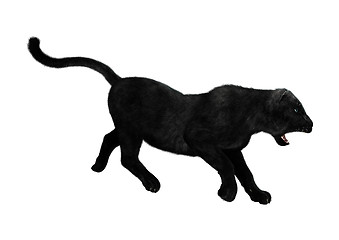 Image showing Black Panther on White