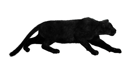 Image showing Black Panther on White