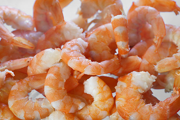 Image showing Cooked shrimps close up
