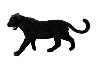 Image showing Black Panther on White