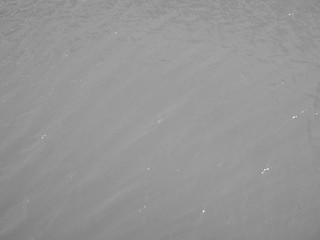 Image showing Black and white Green water background