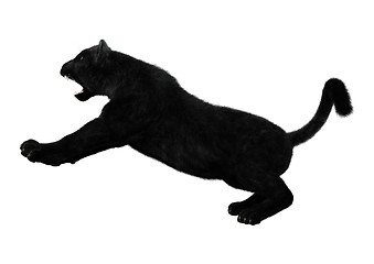 Image showing Black Panther on White