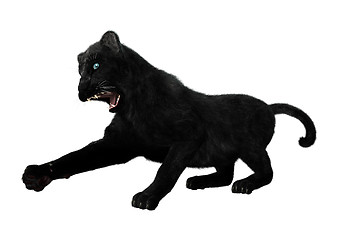 Image showing Black Panther on White