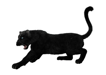 Image showing Black Panther on White