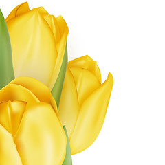 Image showing Tulips decorative background. EPS 10