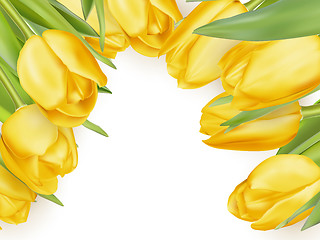 Image showing Yellow fresh tulips on white. EPS 10