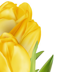 Image showing Tulips decorative background. EPS 10