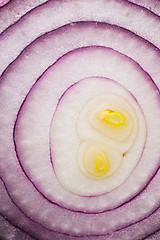 Image showing Red onion (background)