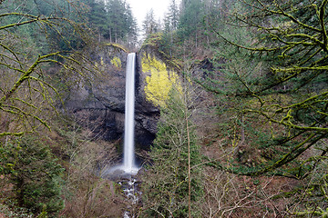 Image showing Columbia Gorge Waterfall Oregon Cascades Ainsworth State Park