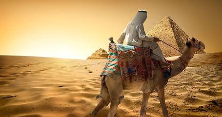 Image showing Bedouin on camel in desert