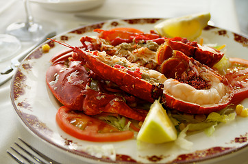 Image showing Gourmet Grilled Lobster