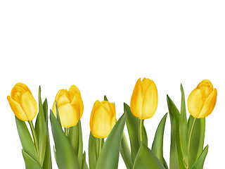 Image showing Bouquet of yellow tulips. EPS 10