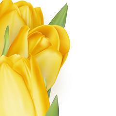 Image showing Tulips decorative background. EPS 10