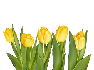 Image showing Bouquet of yellow tulips. EPS 10