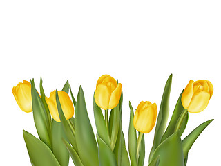 Image showing Bouquet of yellow tulips. EPS 10