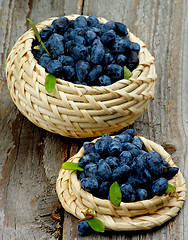 Image showing Fresh Honeysuckle Berries