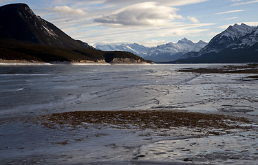 Image showing Abraham Lake Winter