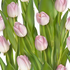 Image showing Seamless from pink tulips. EPS 10
