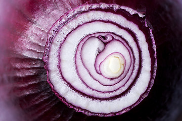 Image showing Red onion (background)