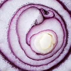 Image showing Red onion (background)