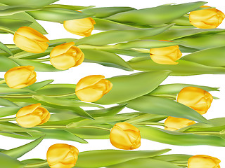 Image showing Bouquet of yellow tulips. EPS 10