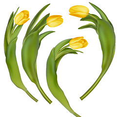 Image showing Bouquet of yellow tulips. EPS 10